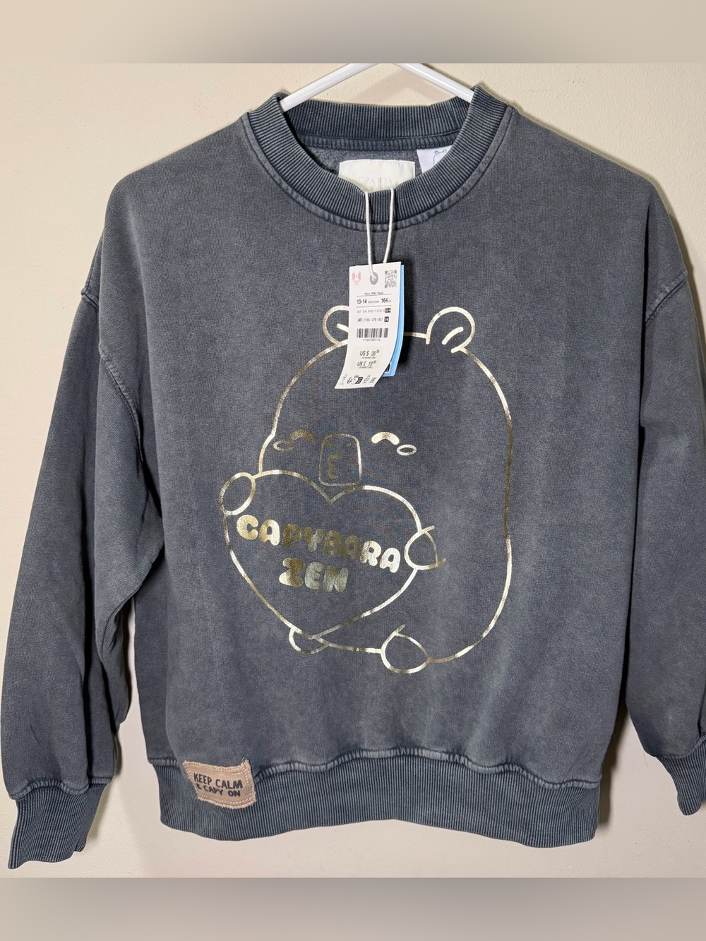 Zara Kids Charcoal Gray Sweatshirt with Gold Foil Capybara Design
